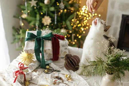 Adorable cat playing at stylish christmas gifts on table with modern ornaments on background of stylish christmas tree with lights. Merry Christmas! Pets and winter holidaysの写真素材