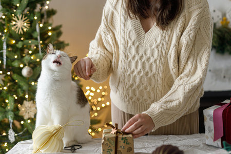 Funny cute  cat meowing while woman in cozy sweater decorating christmas gift box with modern ornaments on background of stylish christmas tree. Merry Christmas and Happy Holidayの写真素材