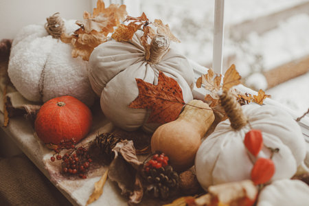 Happy Thanksgiving. Pumpkins, autumn leaves, walnuts on woolen scarf on windowsill. Autumn hygge still life. Hello fallの写真素材