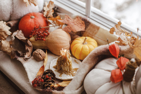 Autumn still life. Pumpkins, fall leaves, candle, nuts and pine cone on woolen scarf on windowsill. Autumn hygge. Happy Thanksgivingの写真素材