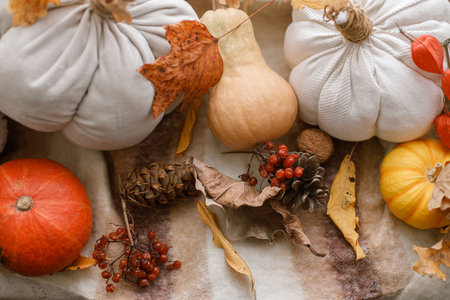 Happy Thanksgiving. Pumpkins, autumn leaves, walnuts on woolen scarf on windowsill. Autumn hygge still life. Hello fallの写真素材