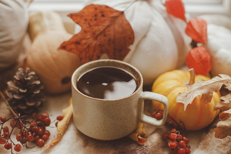Hello fall. Warm cup of tea, pumpkins, autumn leaves and woolen scarf on windowsill. Autumn hygge still life. Happy Thanksgiving.の写真素材