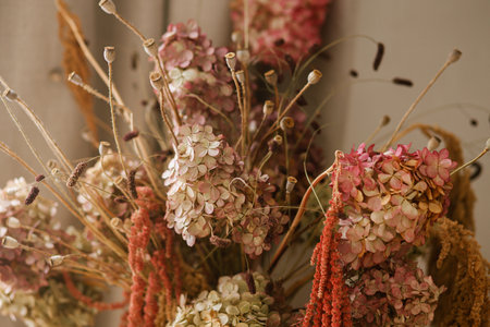 Dry hydrangea, poppy and amaranth in stylish vase close up. Fall decor in modern living room. Thanksgiving and Halloween. Autumn floral arrangementの写真素材