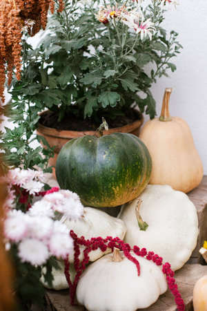 Stylish decoration in fall season of farmhouse entrance. Beautiful autumnal moms flowers, pumpkins and wood. Autumn decor of house entranceの写真素材