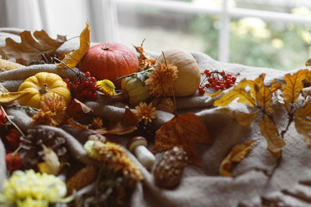 Thanksgiving background. Pumpkins, fall leaves and flowers, berries and pine cones on woolen scarf on table. Autumn banner, cozy still life. Fall harvestの写真素材