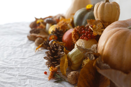 Thanksgiving background. Pumpkins, fall leaves and flowers, berries and pine cones on linen cloth, space for text. Autumn banner. Fall harvestの写真素材