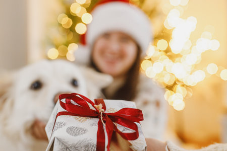 Merry Christmas and Happy Holidays! Hand holding christmas gift box on background of happy woman with cute dog at christmas tree with golden lights. Exchanging presents surpriseの写真素材