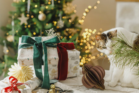 Cute cat sitting at stylish christmas gifts on table with modern ornaments on background of stylish christmas tree with lights. Merry Christmas! Pets and winter holidaysの写真素材