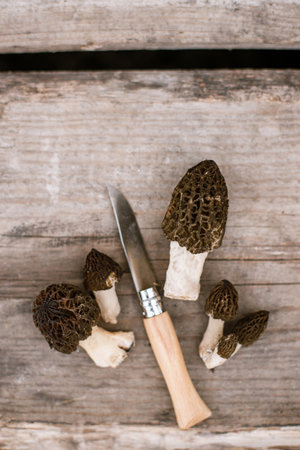 Morchella mushrooms and knife on wooden background flat lay. True morels. Harvesting Morchella esculenta, copy space. Fungi delicacy, delicious edible mushroomsの写真素材