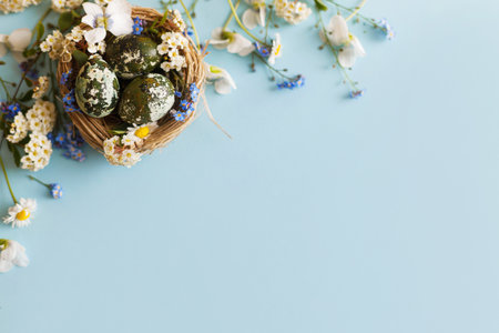 Easter flat lay. Stylish easter eggs and spring flowers in nest on blue background, space for text. Easter modern minimal banner. Season greetings mockupの写真素材