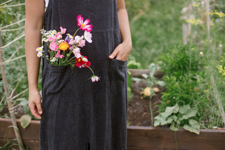 Beautiful flowers in rustic apron pocket close up. Woman florist gathering flowers from urban organic garden. Homestead lifestyle. Flower farm,  sustainableの写真素材