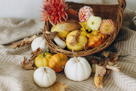 Pumpkins, autumn leaves, flowers and fall harvest in rustic basket on cozy blanket. Fall season....