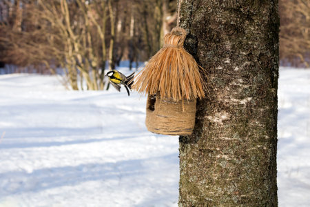 A bird in flight, flapping its wings and a birdhouse against the background of snow. The coming of spring.の写真素材