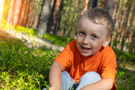 A happy boy smiles while squatting in a summer forest in bushes with blueberries against the backdrop of sunlight.の写真素材