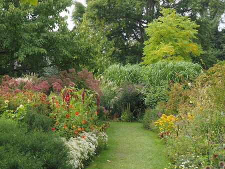 Parklandの写真素材