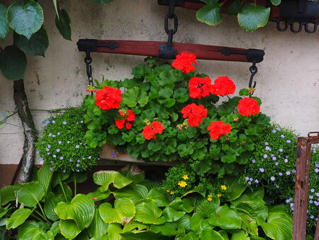 Still life in the gardenの写真素材