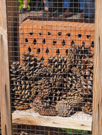 Insect hotelの写真素材