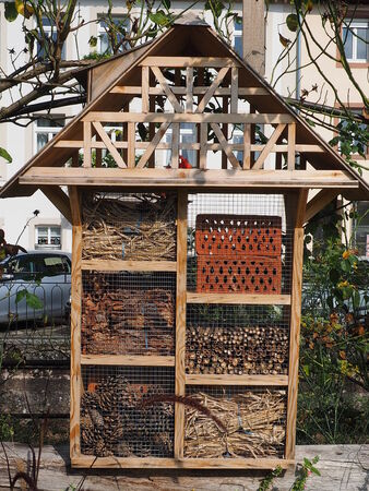 Insect hotelの写真素材