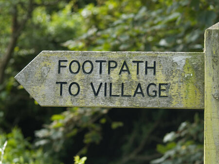 Slate fence overgrown with ivy in Cornwall, UKの写真素材