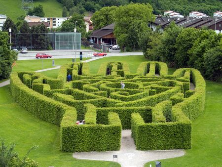hedges - labyrinthの写真素材