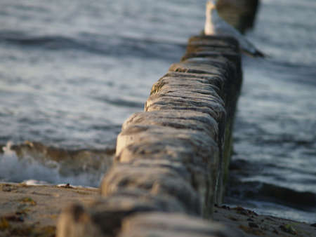 vodka in the sea