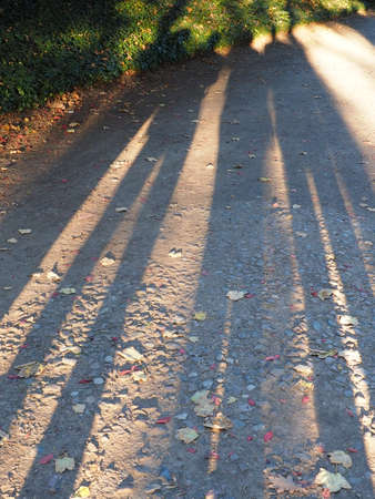 silhouette of long human