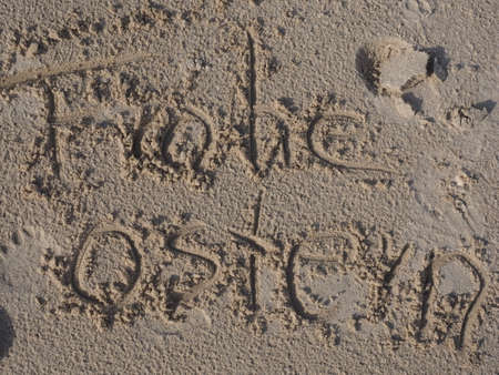 Happy Easterの写真素材