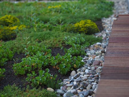 green roof detailsの写真素材