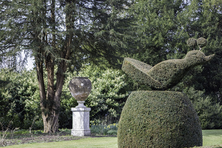 Topiary in a typically ornate traditional English country gardenの写真素材
