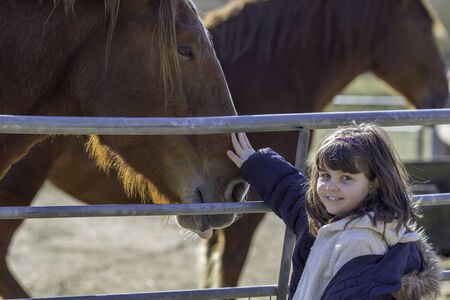 Happy young caucasian girl aged around nine years old is petting a large chestnut horse. The friendly horse is content and docile and the girl is smiling towards the camera.の写真素材