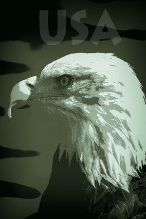 USA  bald eagle as a posterized image in military camouflage colors representing might and supremacyの写真素材