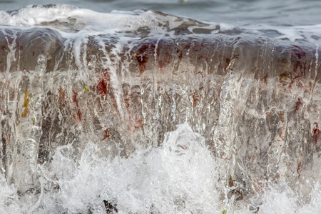 Breaking sea wave carrying seaweed plant material in suspension. Marine flora particulate carried by ocean water.の写真素材
