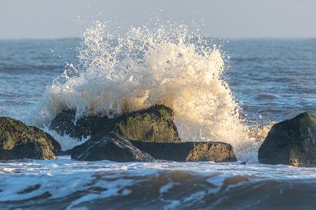 Wave crashing against sea flood defence boulders and algae covered rocks. Coastal nature and environmental conservation image with water impact frozen by high shutter speed.の写真素材