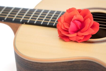 Love song. Red rose on acoustic guitar. Romantic music concept. Close up of beautiful flower on quality steel string folk guitar. Romance song writer conceptual image on white background.の写真素材