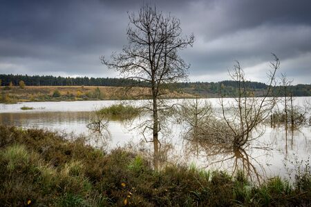 Beautifull Autumn colors, National Park Hoge Kempen, Belgiumの写真素材