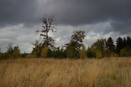 Beautifull Autumn colors, National Park Hoge Kempen, Belgiumの写真素材