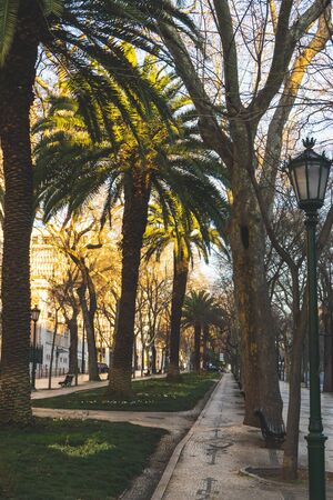 Colorfull streets and buildings in Lisbon Portugal.の写真素材