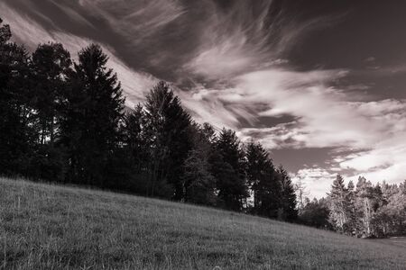 Cloudy day at Eifel National Park Germany.の写真素材