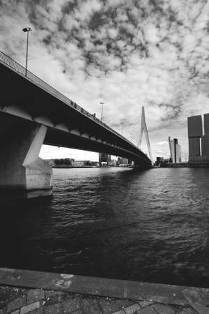streets of Rotterdam, Erasmus Bridge Rotterdam Netherlands July 22 2020の写真素材
