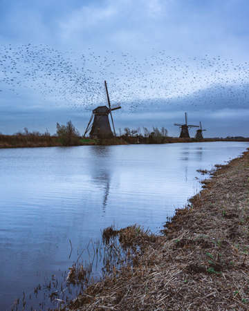 Cloudy day, Windmills in Kinderdijk The Netherlands.の写真素材