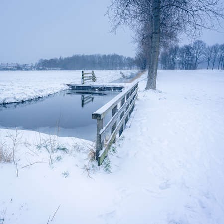Winter landscape in The Netherlands, Uithof Park.の写真素材