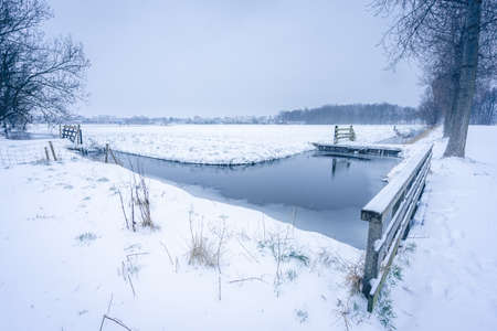 Winter landscape in The Netherlands, Uithof Park.の写真素材