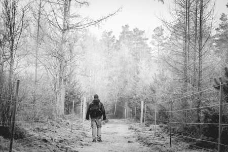 Person walk into the forest early morning, Speulderbos Netherlands.の写真素材
