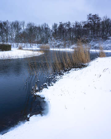 Winter landscape in The Netherlands, Uithof Park.の写真素材
