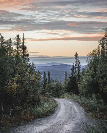 Hiking in the Fulufjallet National Park in Sweden.の写真素材
