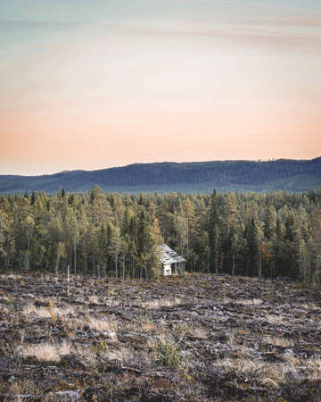 Sunset somewhere along the road in the Swedish forest, Sweden.