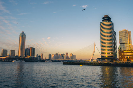 skyline of Rotterdam on January 11, 2022.のeditorial素材