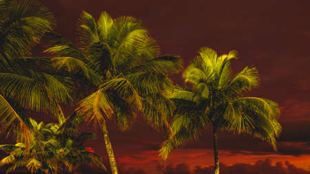 The beautiful beach of Santos, Sao Paulo, Brazil.の写真素材
