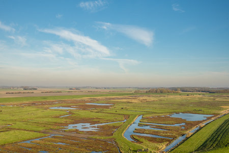 Overview from the wetlands in Burgh-Haamstede, from the Plompe tower. Zeeland, The Netherlands.の写真素材