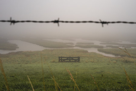 Foggy day over the wetlands, Burgh-Haamstede, Zeeland, The Netherlands.の写真素材